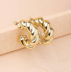 Twisted Hoop Earrings